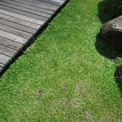 Bridgewater Township, NJ landscaping experts