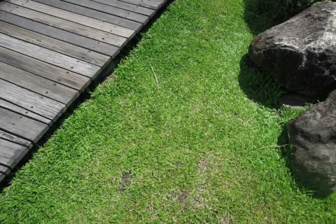 Landscaping in Bridgewater Township, NJ